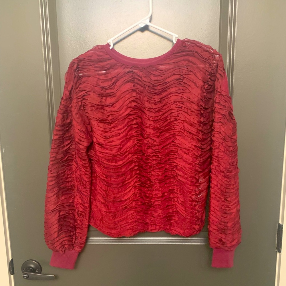 Zara Burgundy Tulle Sweatshirt
